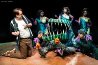 Little Shop of Horrors at Marriott Theatre: Somewhere That’s Green